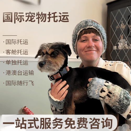 南京国际宠物托运到阿根廷宠物入境规定和要