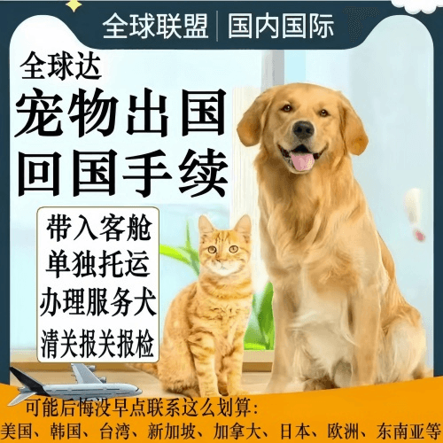 南京宠物托运到柬埔寨宠物入境规定和要求